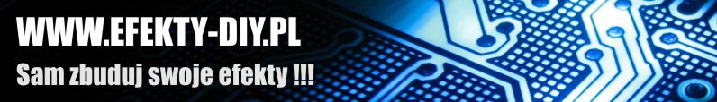 WWW.EFEKTY-DIY.PL